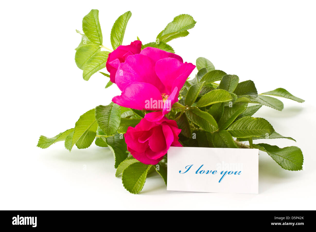 ripe fruit and beautiful flowers wild rose on a white background Stock Photo