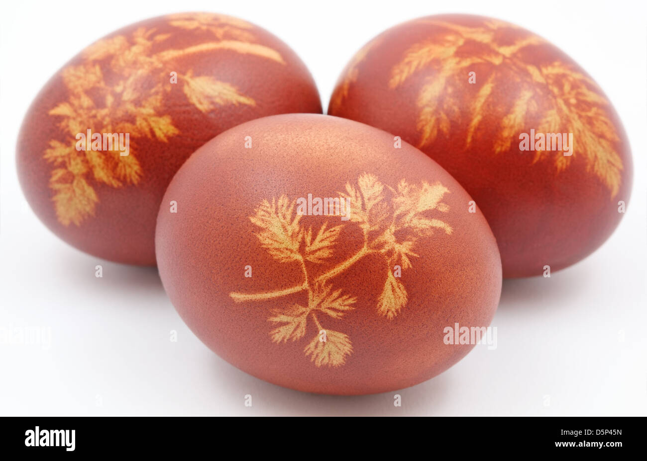 Easter eggs on white background. Stock Photo