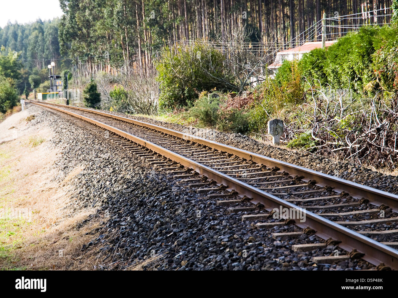 Railway in diagonal composition in the nature Stock Photo