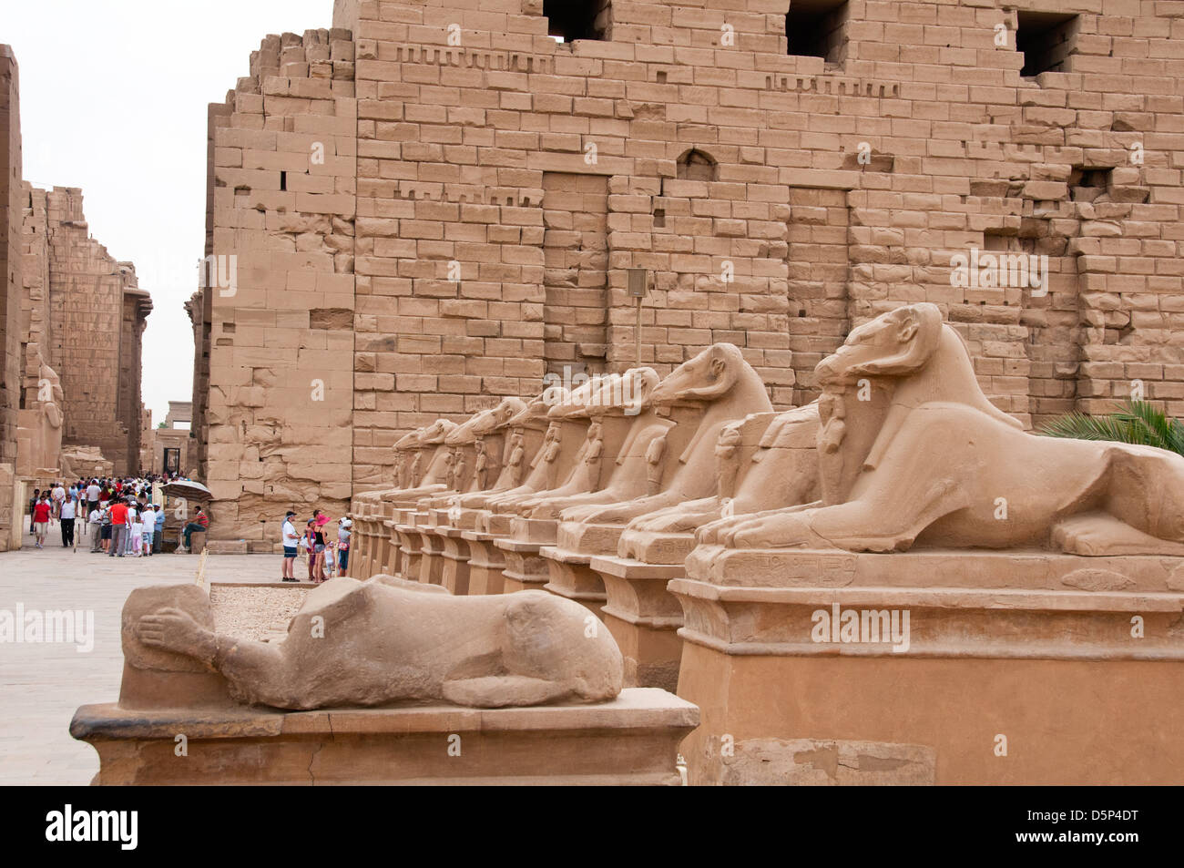 Sphinxes with goat heads at the entrance of Temple Amun Karnak Luxor Southern Egypt Stock Photo