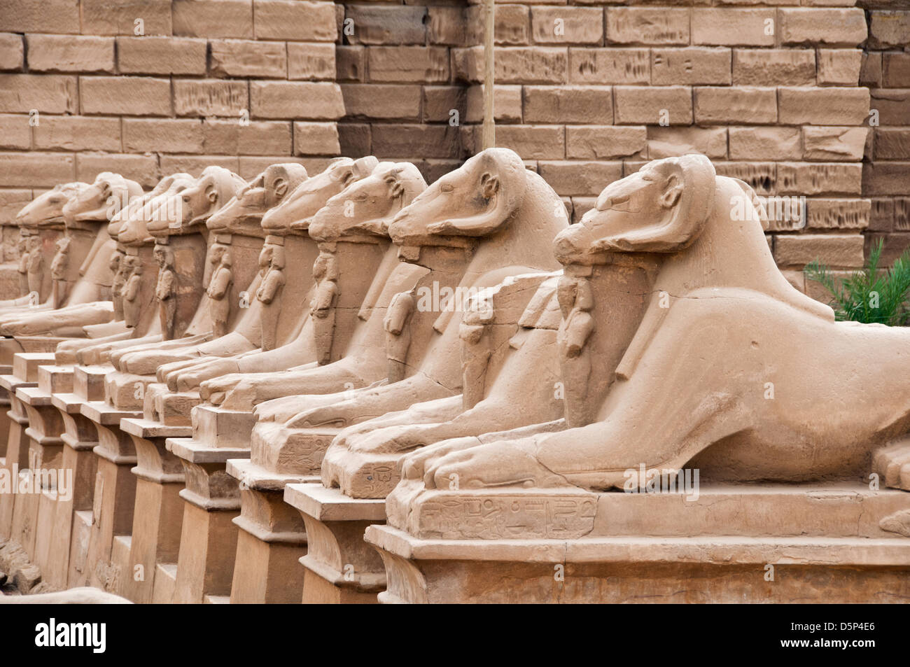 Sphinxes with goat heads at the entrance of Temple Amun Karnak Luxor Southern Egypt Stock Photo