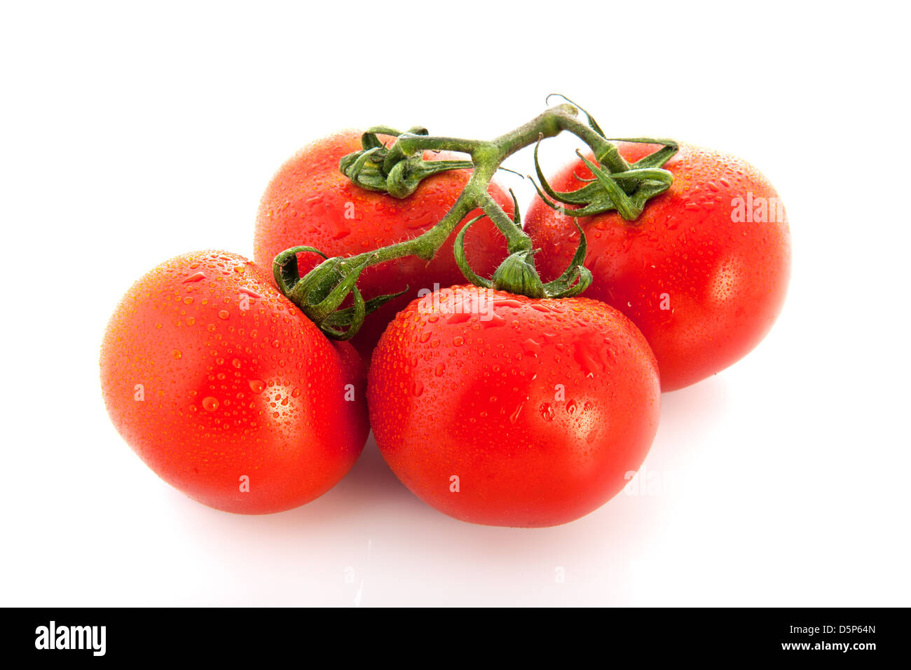 Fresh wet bunch tomatoes isolated over white background Stock Photo - Alamy