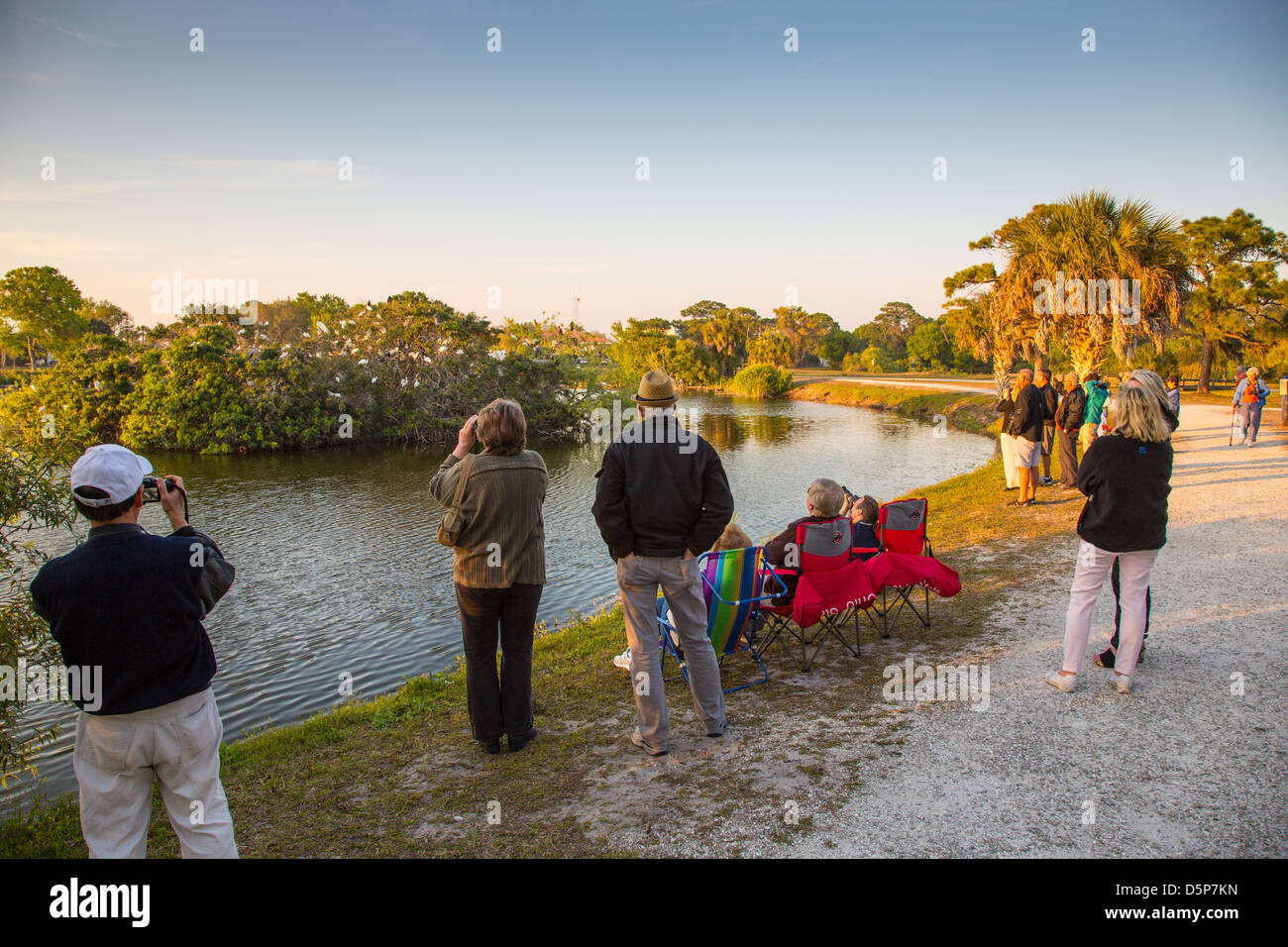 Birds and people bird hires stock photography and images Alamy
