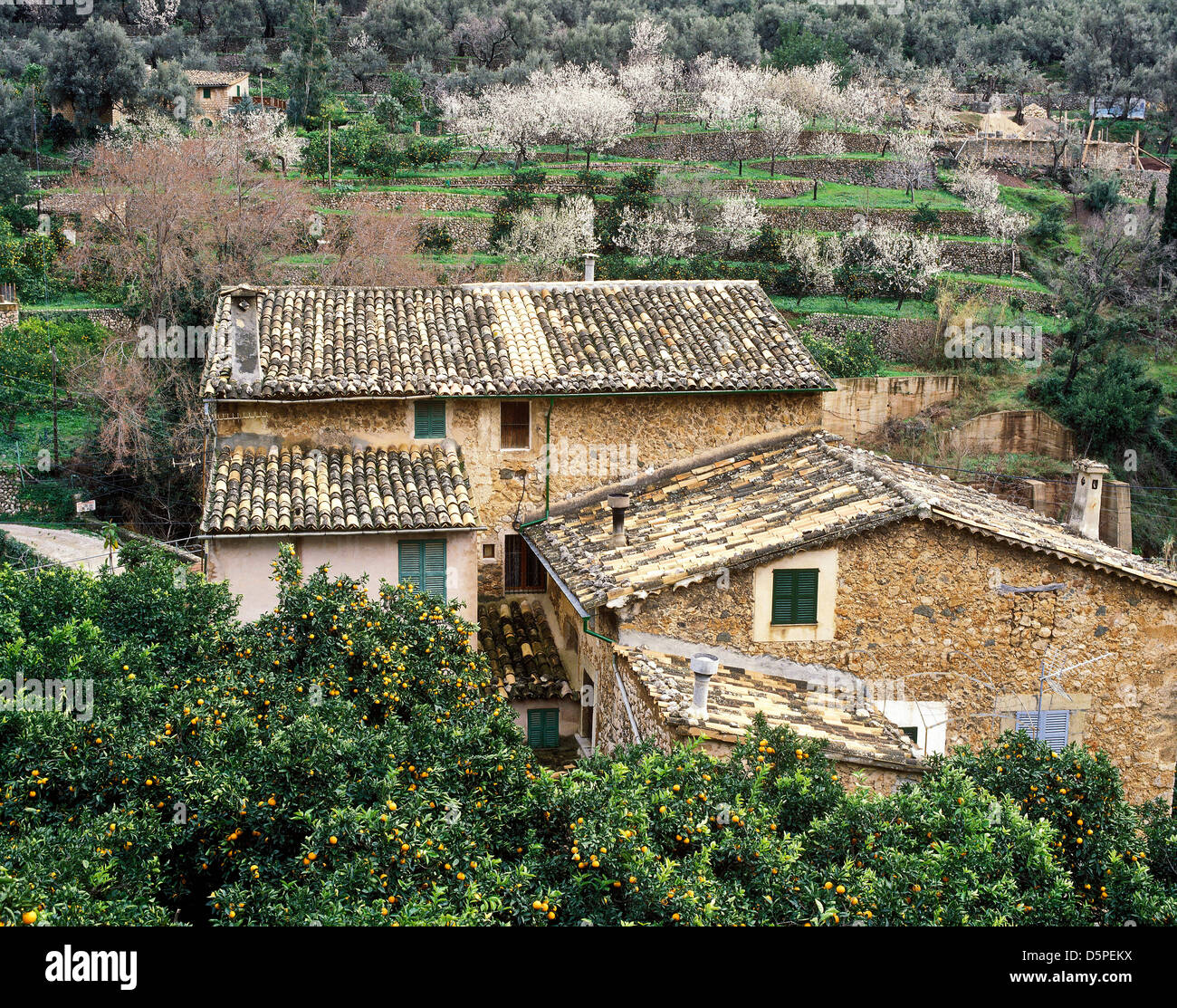 village Fornalutx near Soller, Mallorca, Balearic Islands, Spain Stock Photo