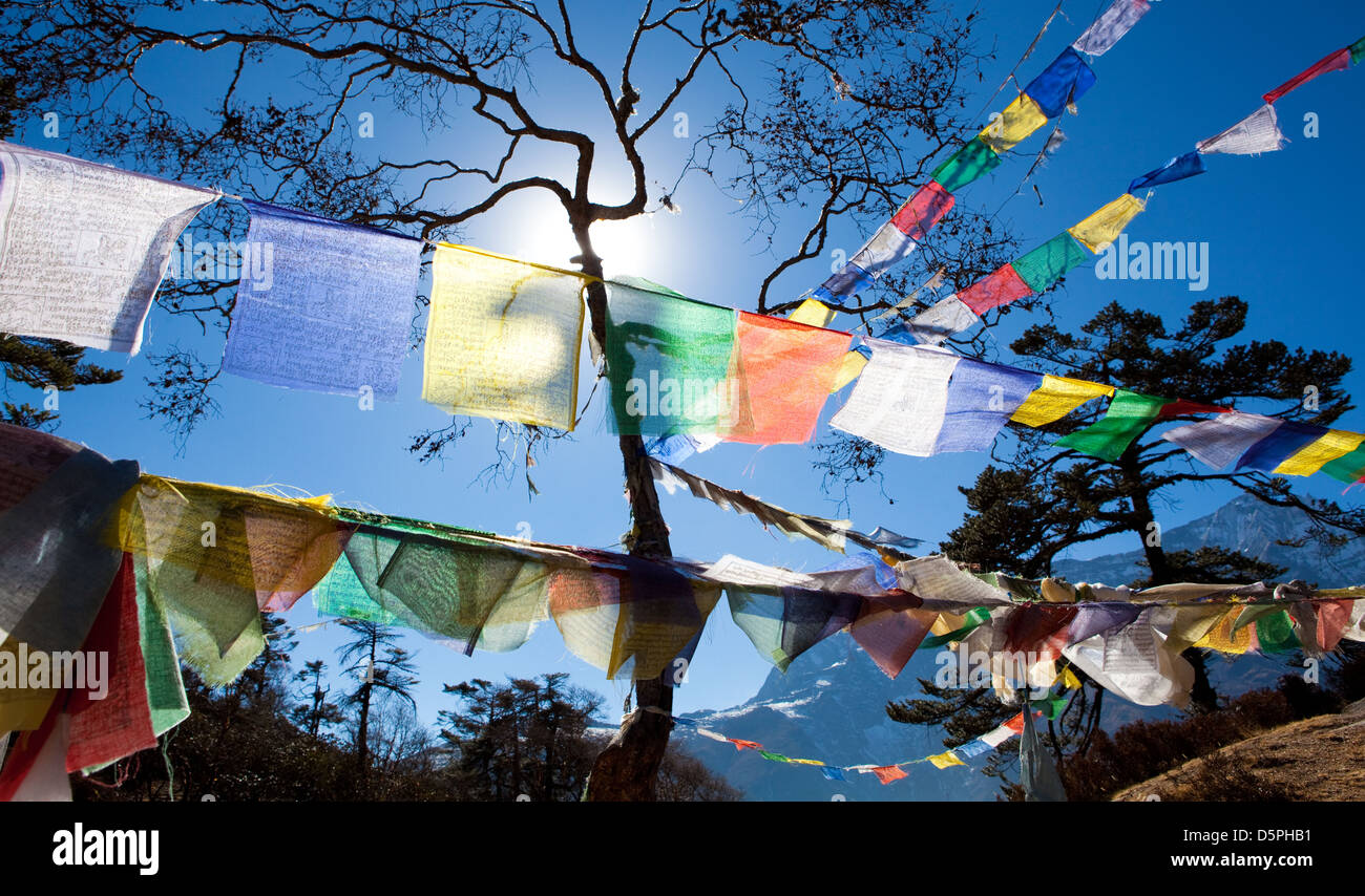 Tibetan Prayer Flags Stock Photo Alamy