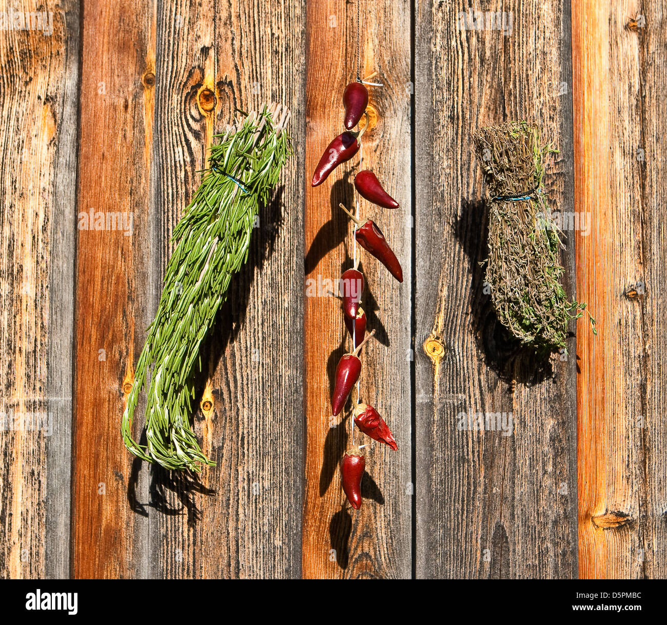 Drying of spices - rosemary, red pepper, a thyme Stock Photo