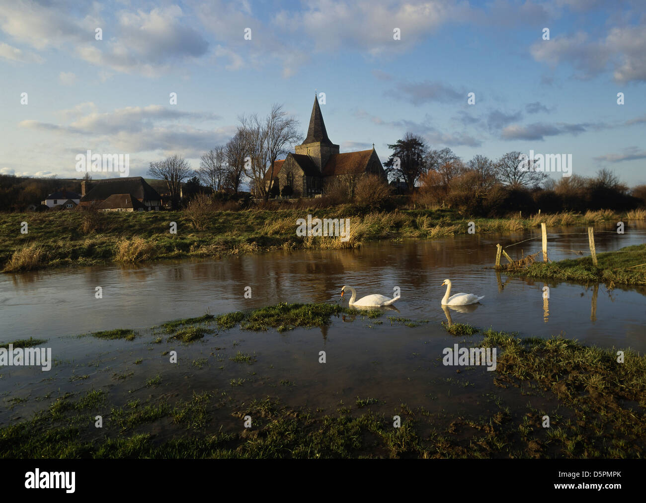 Swans on the River Cuckmere by the village church of Saint Andrews, Alfriston, East Sussex. England, UK Stock Photo