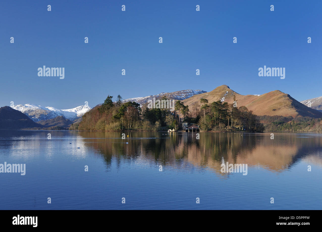 Derwent Isle in beautiful early spring sunshine, with Catbells in the background Stock Photo