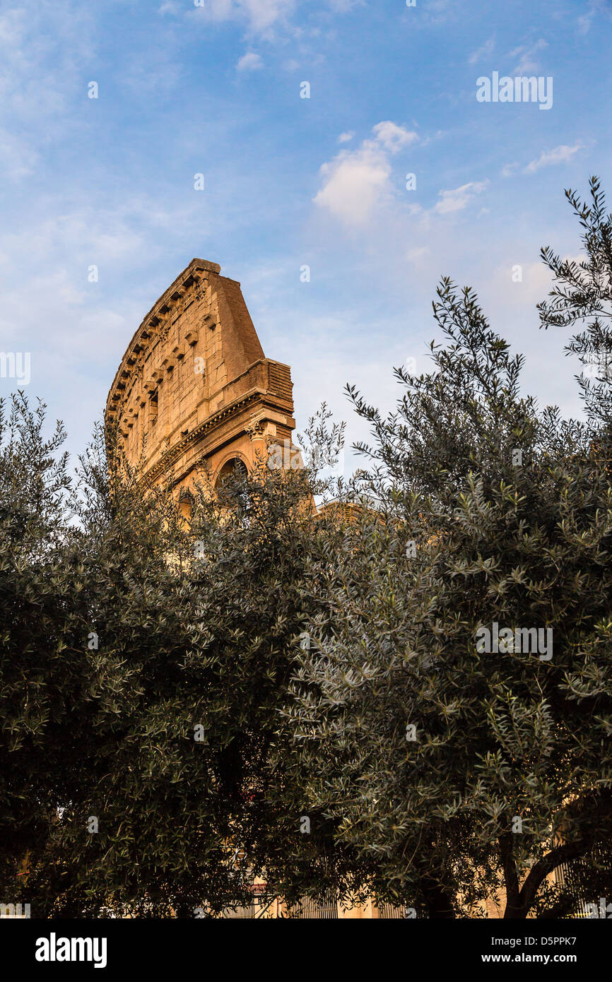 Colosseum in Rome, Italy Stock Photo