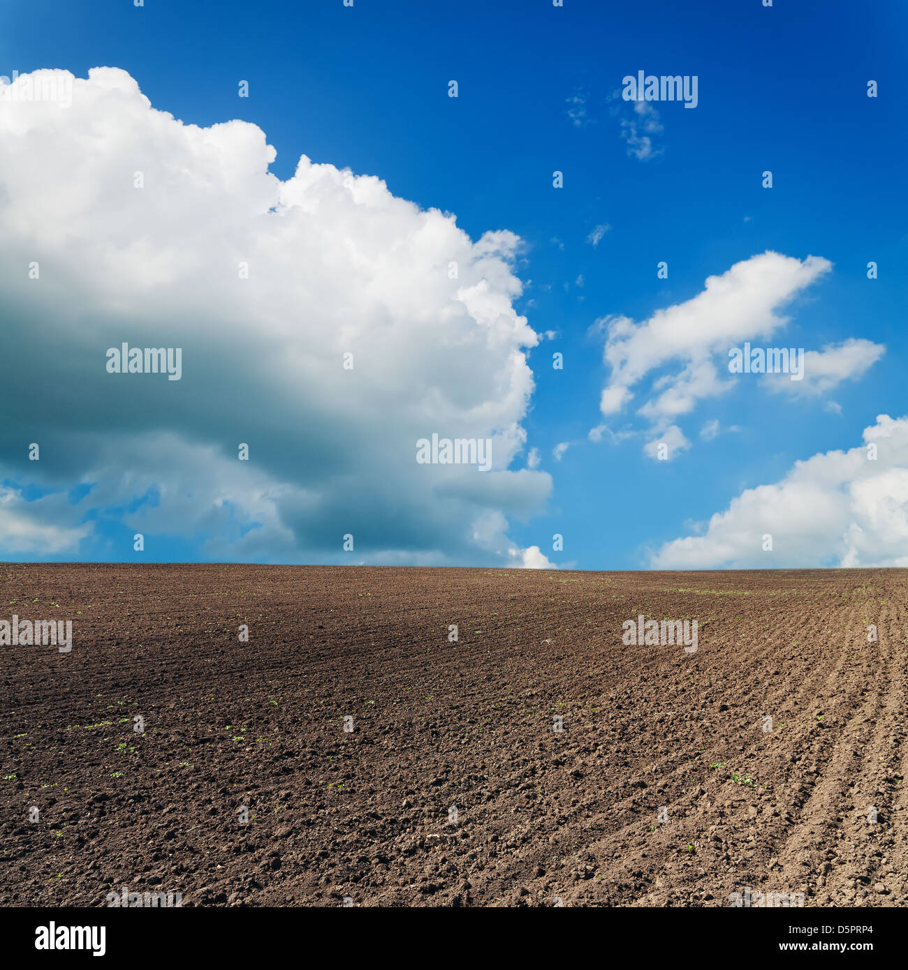 black ploughed field under blue sky with clouds Stock Photo - Alamy