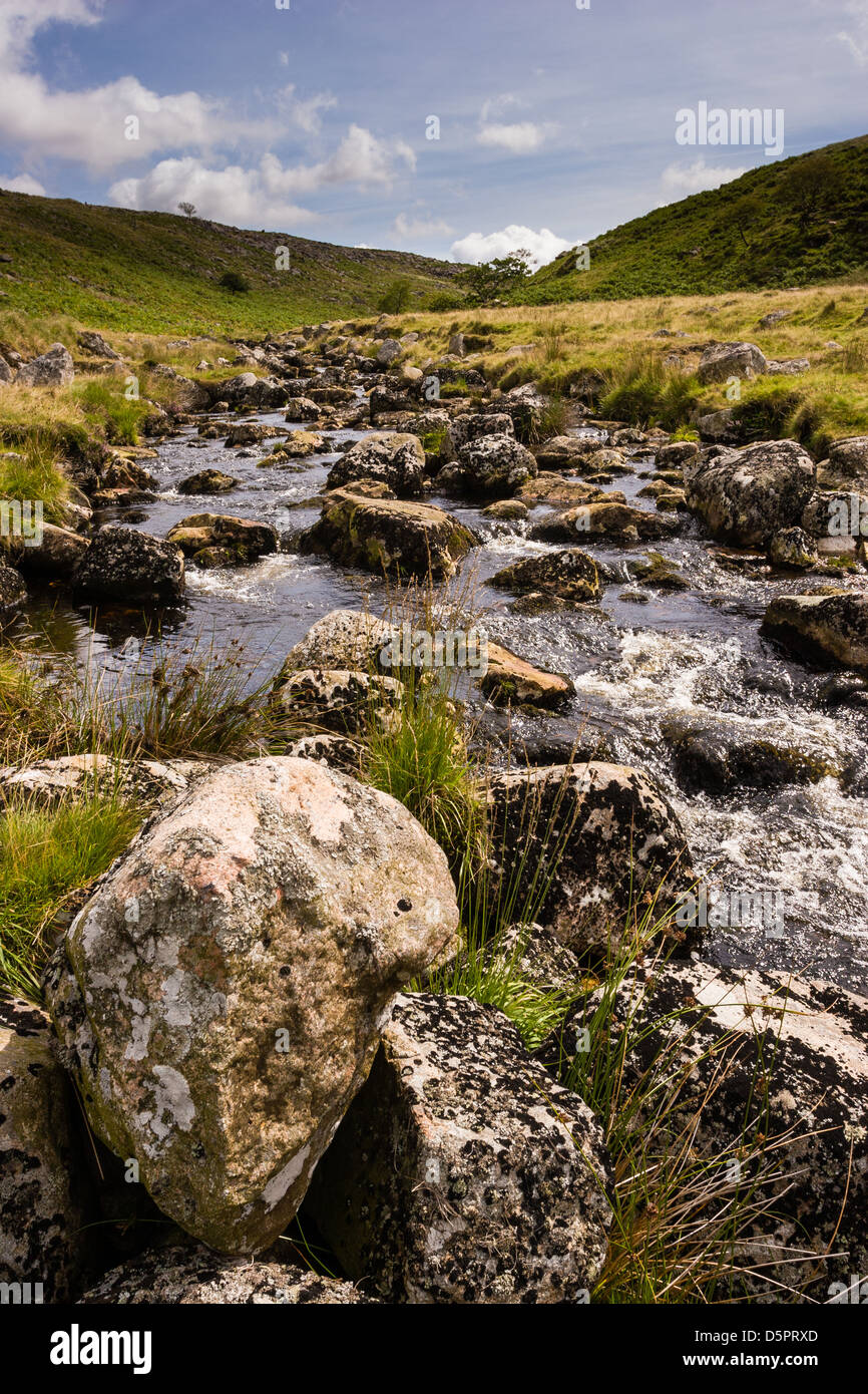The river Tavy in Tavy Cleave, Dartmoor Stock Photo