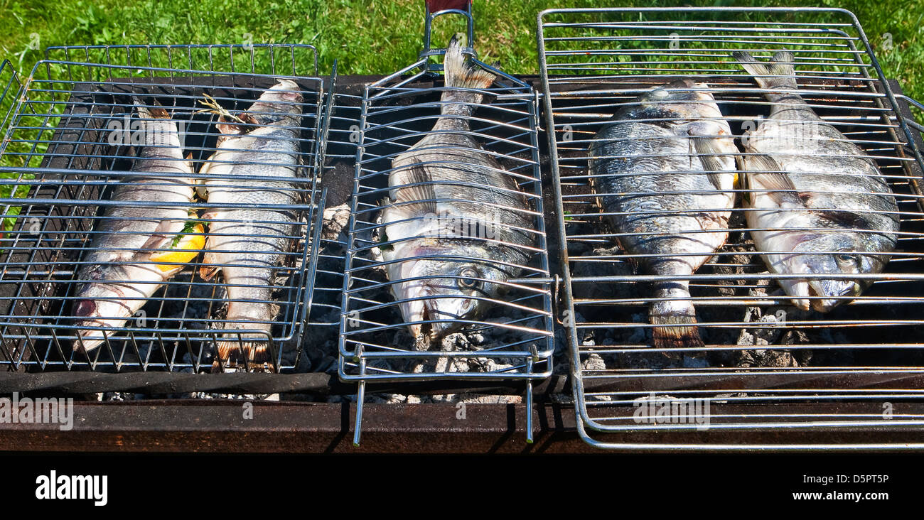 Fresh fish on a grill Stock Photo Alamy