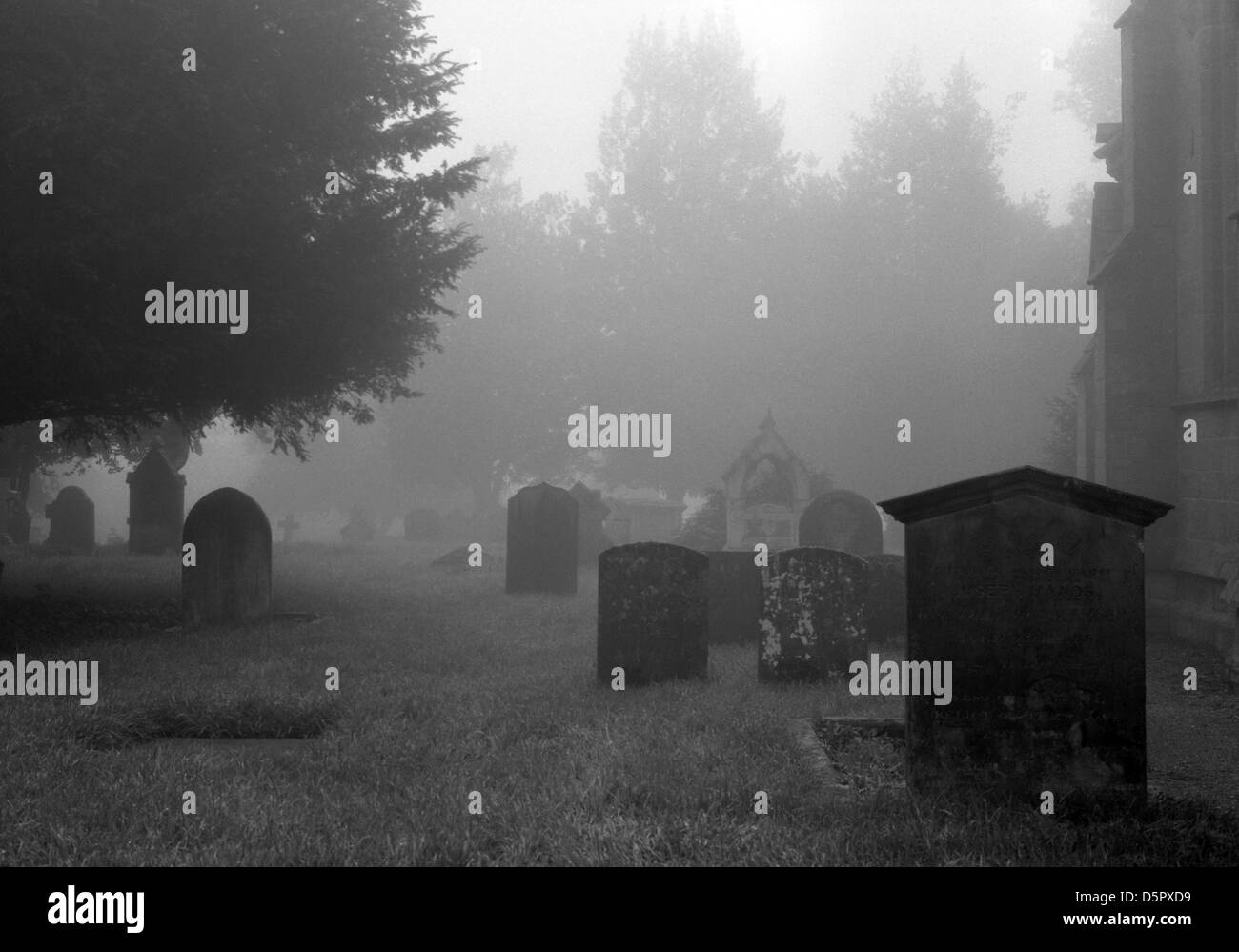 gravestones appear out of the fog in a misty graveyard Stock Photo