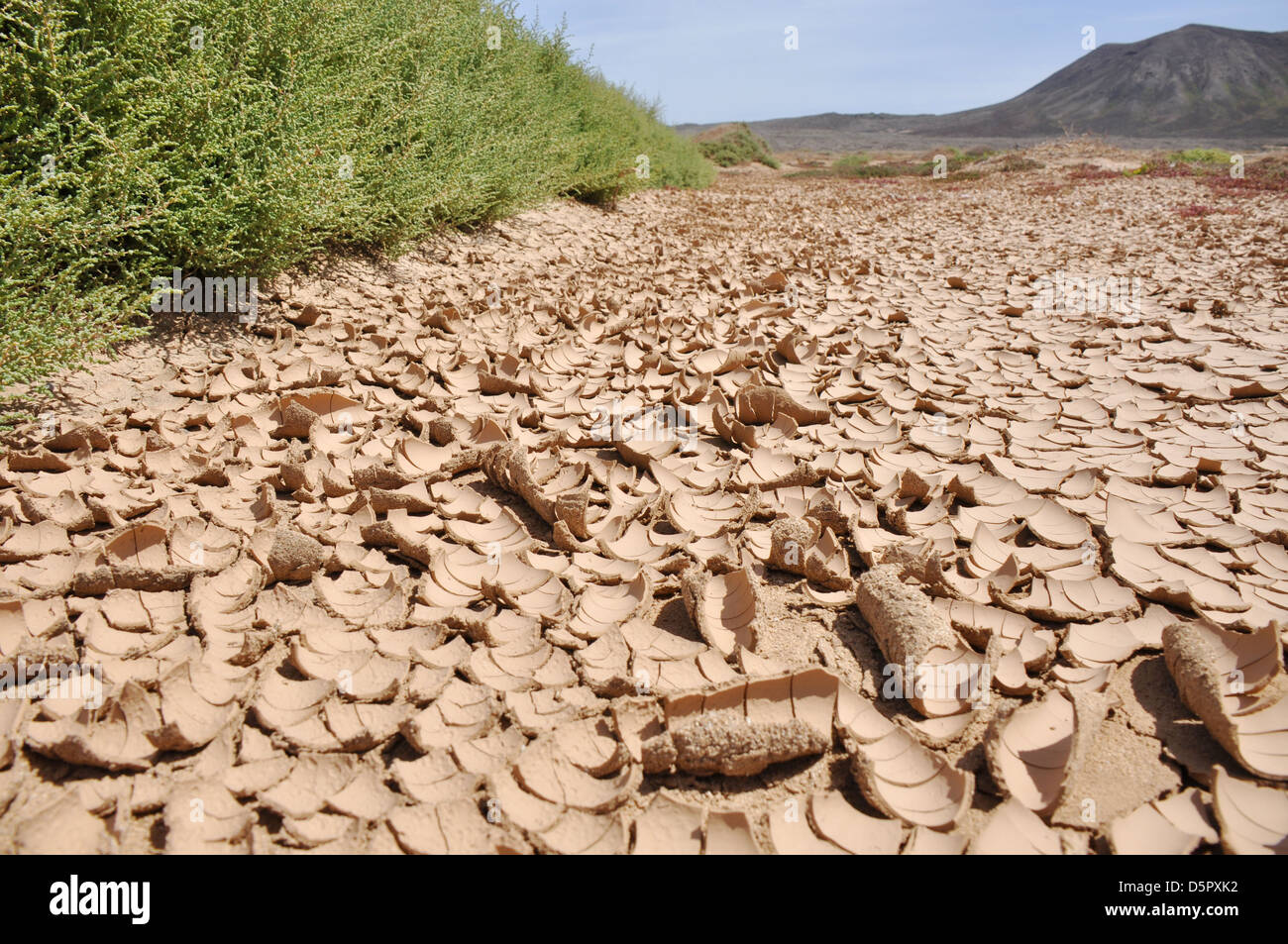 замес глины. мятая глина. руки в цементе подарок. высохшая глина. глина сохнет.