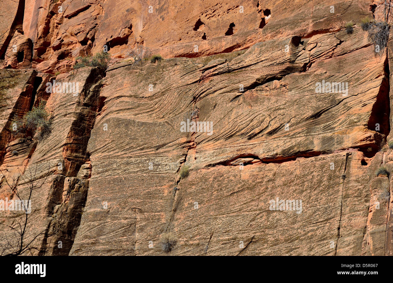 Cross beds of eolian sandstone on a rock wall. Zion National Park, Utah, USA. Stock Photo