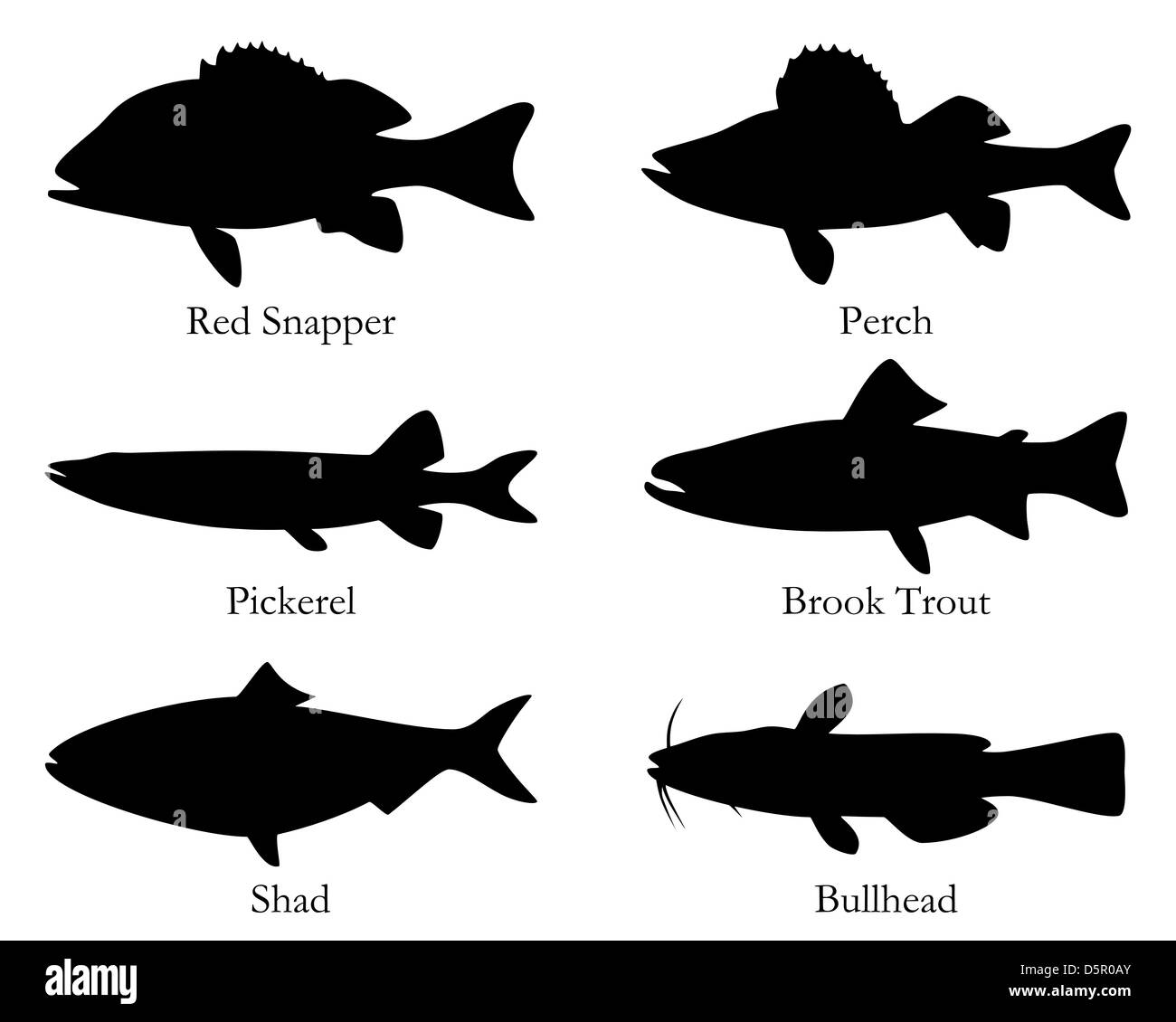 North American food fish Stock Photo