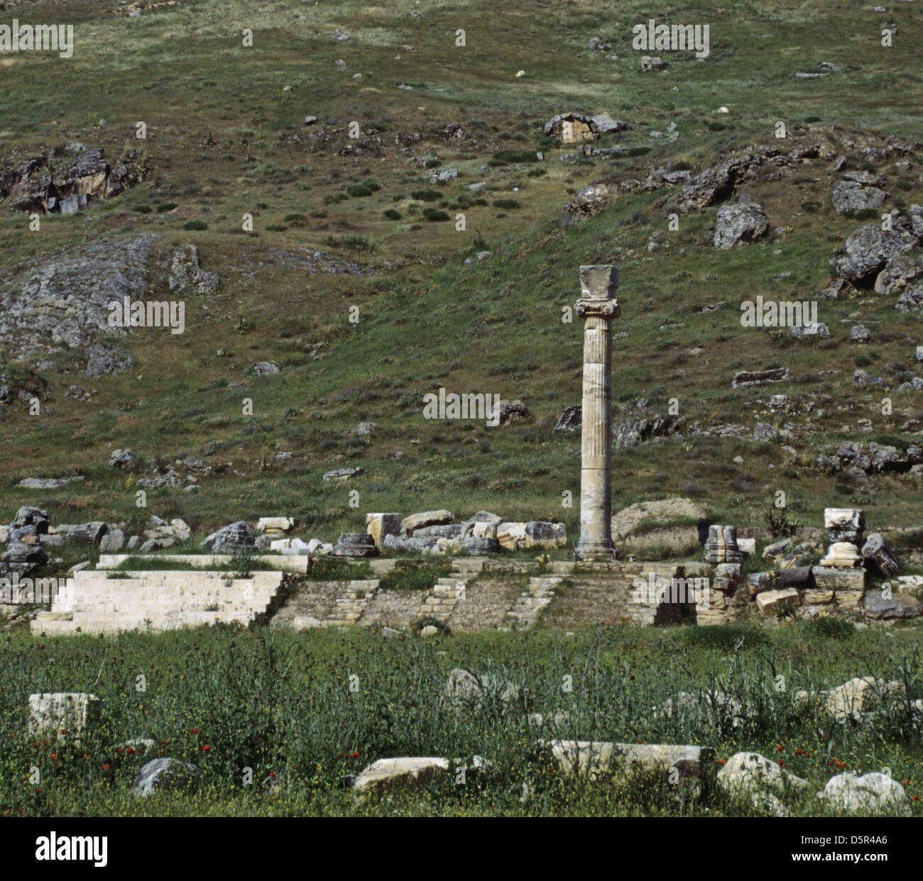 Agora with steps and one column, Hierapolis, Pumakkale, Turkey 000523 1310 Stock Photo