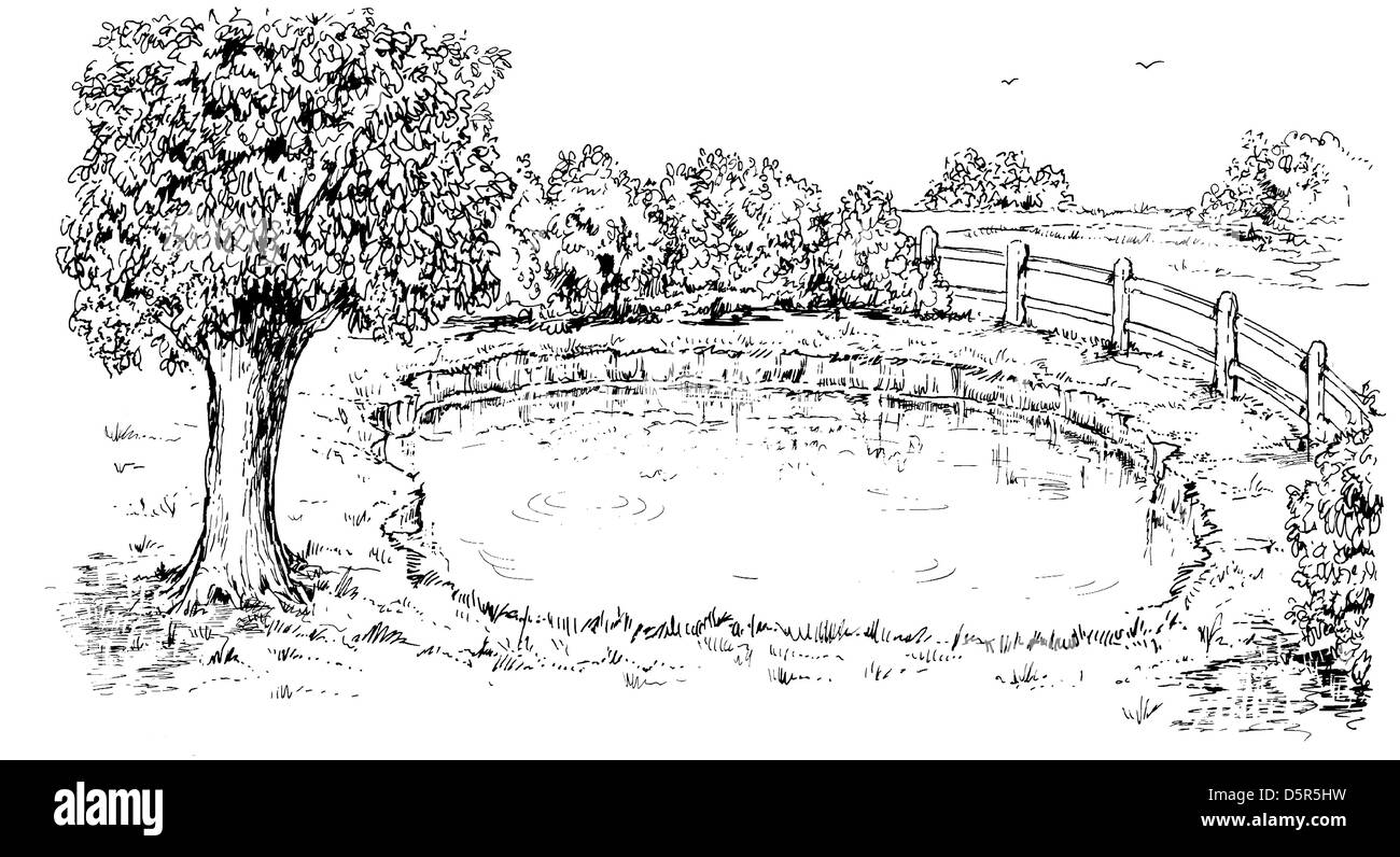 Village pond wildlife Cut Out Stock Images & Pictures Alamy