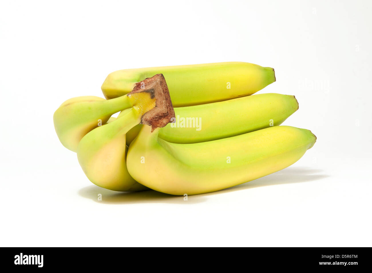 Premium Photo  One bunch of bananas on white background. a very