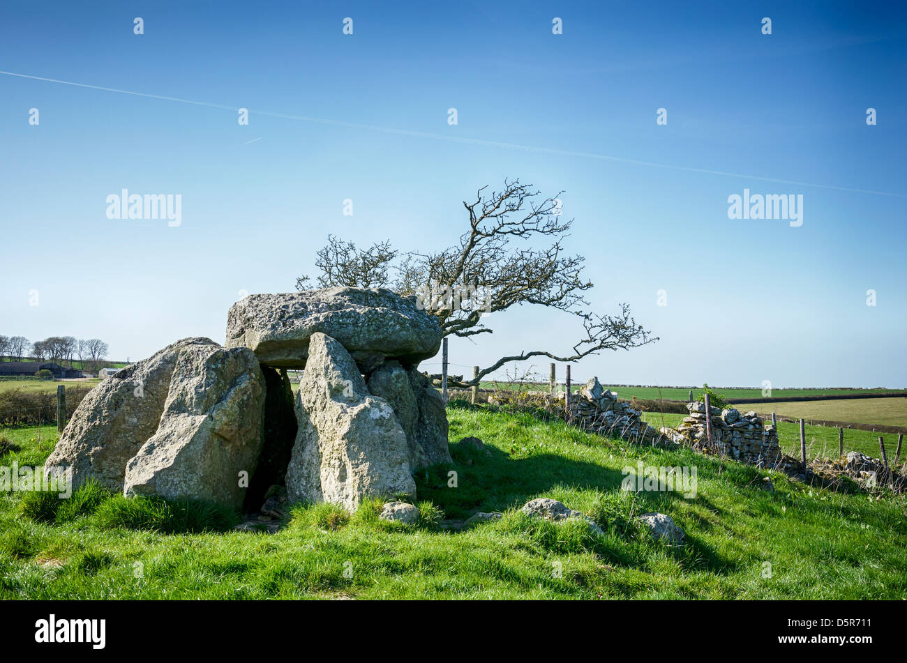 The Hellstone at Portesham near Dorchester in Dorset, the remains of a Neolithic Dolmen Stock Photo