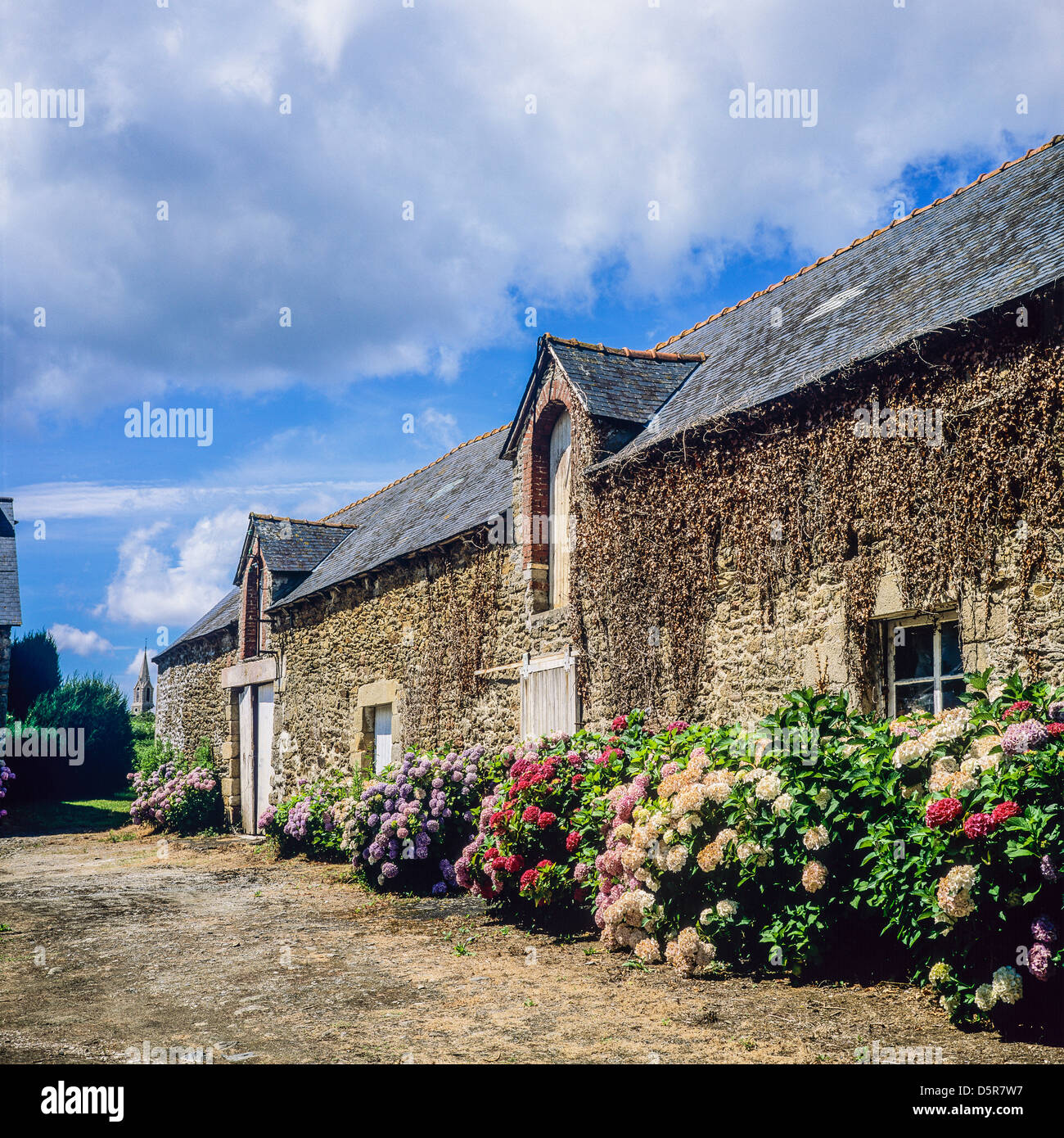 Flowered farm house Brittany France Stock Photo