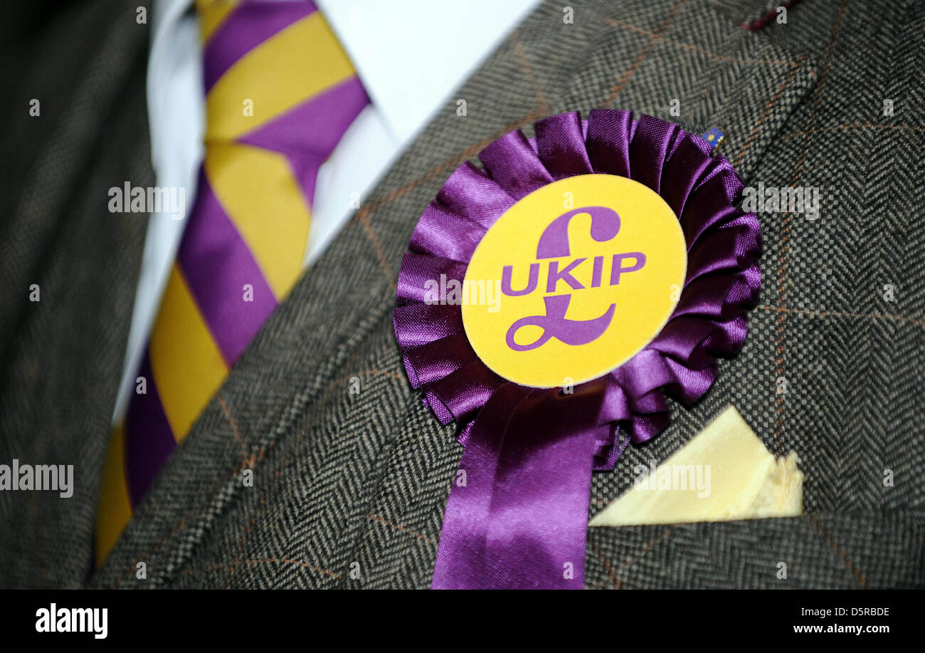 UKIP ROSETTE& UKIP TIE THE LEADER OF UK INDEPENDENCE 08 April 2013 THE SPA SCARBOROUGH SOUTH BAY SCARBOROUGH ENGLAND Stock Photo