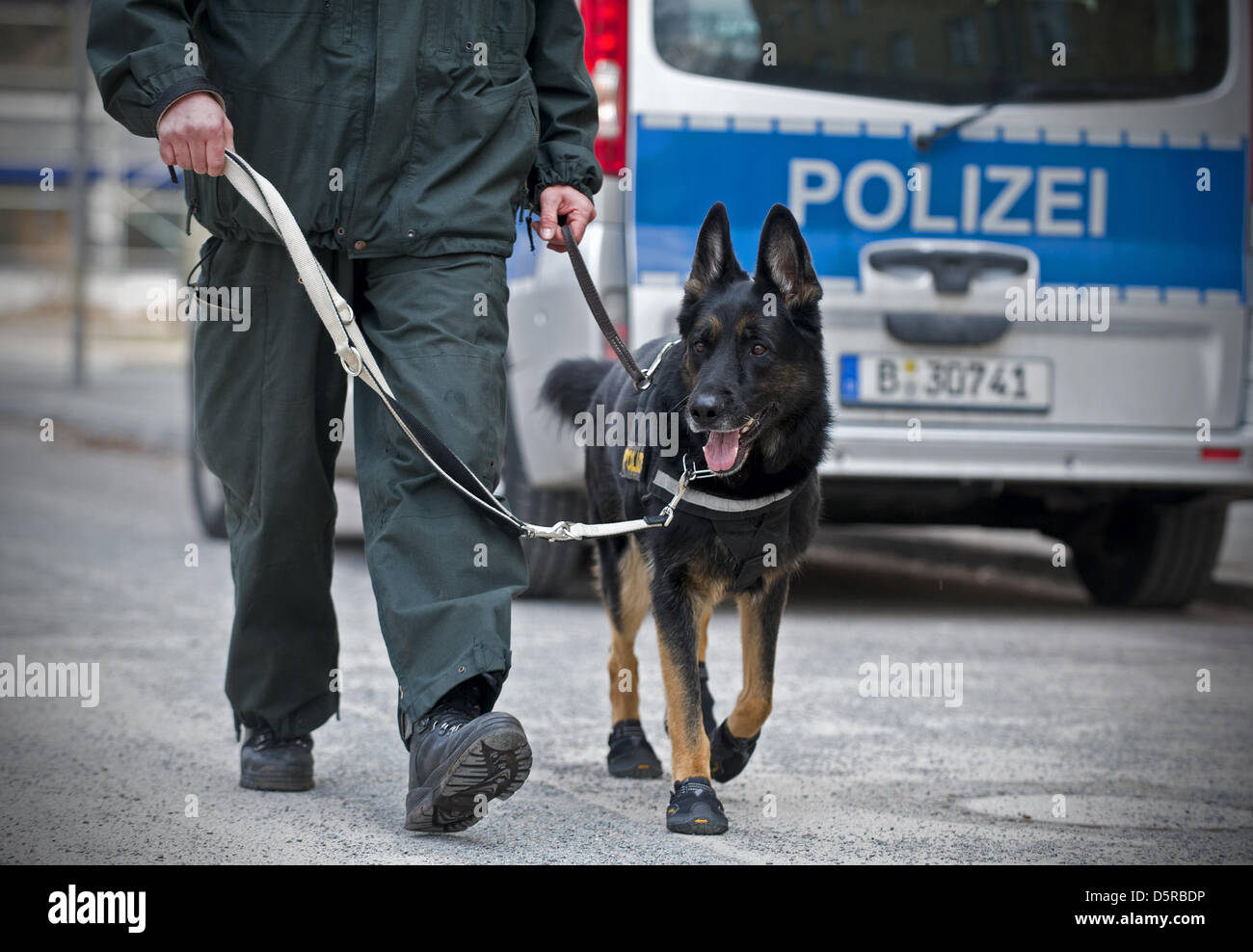 Police 2025 dog shoes
