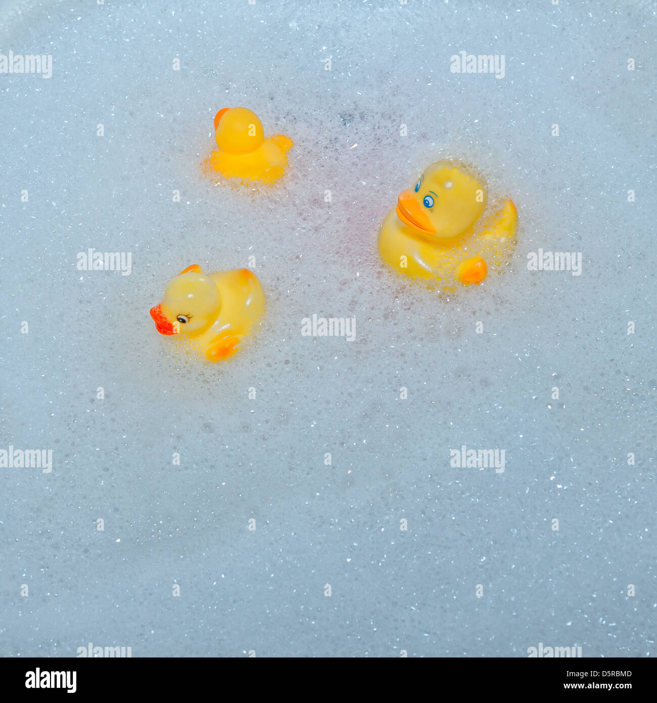 three rubber ducks swimming in foam Stock Photo