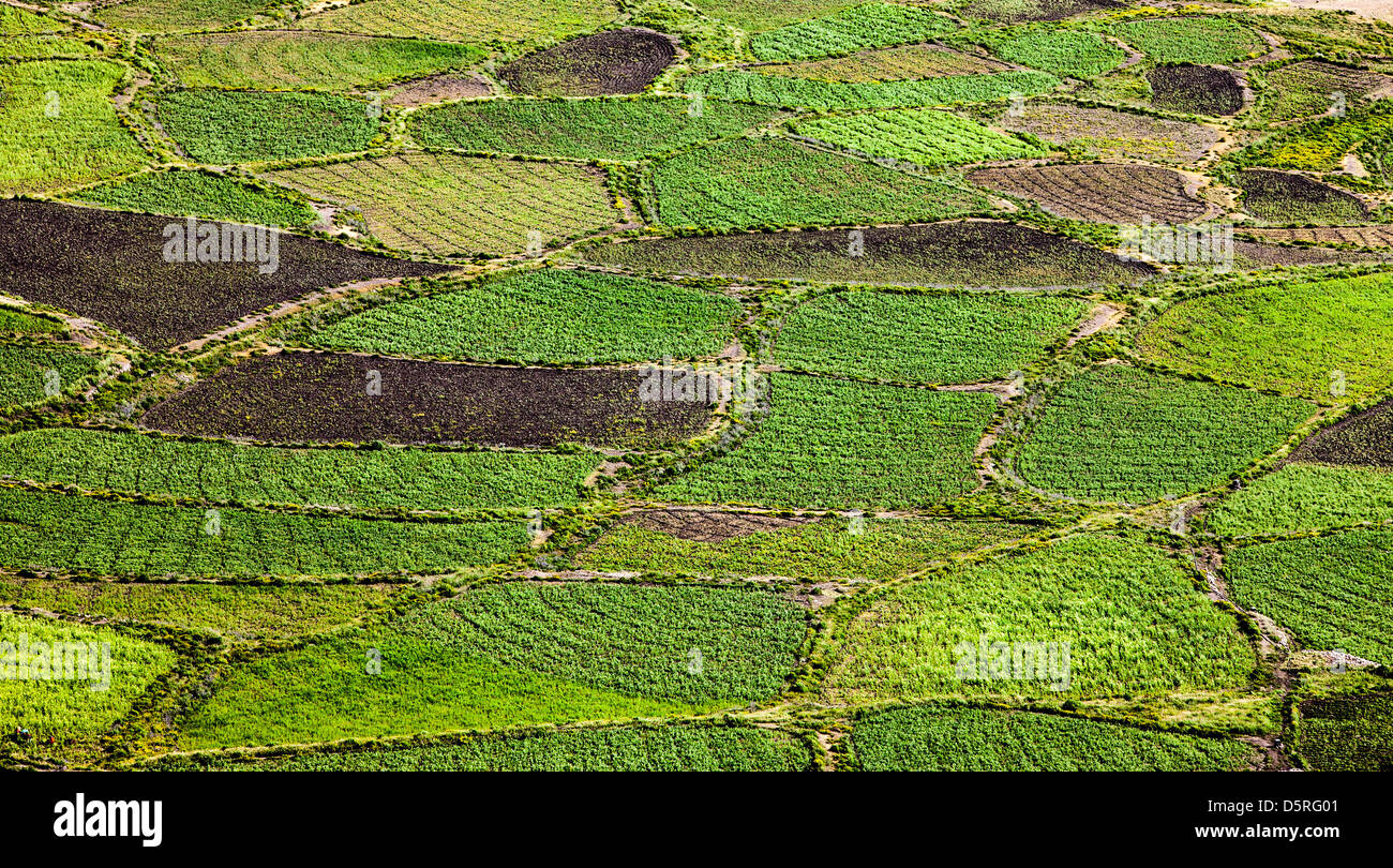 birds eye view photo of Farmland Stock Photo - Alamy