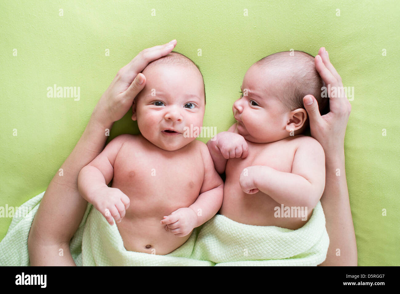 loving mother hands embrace twins babies Stock Photo