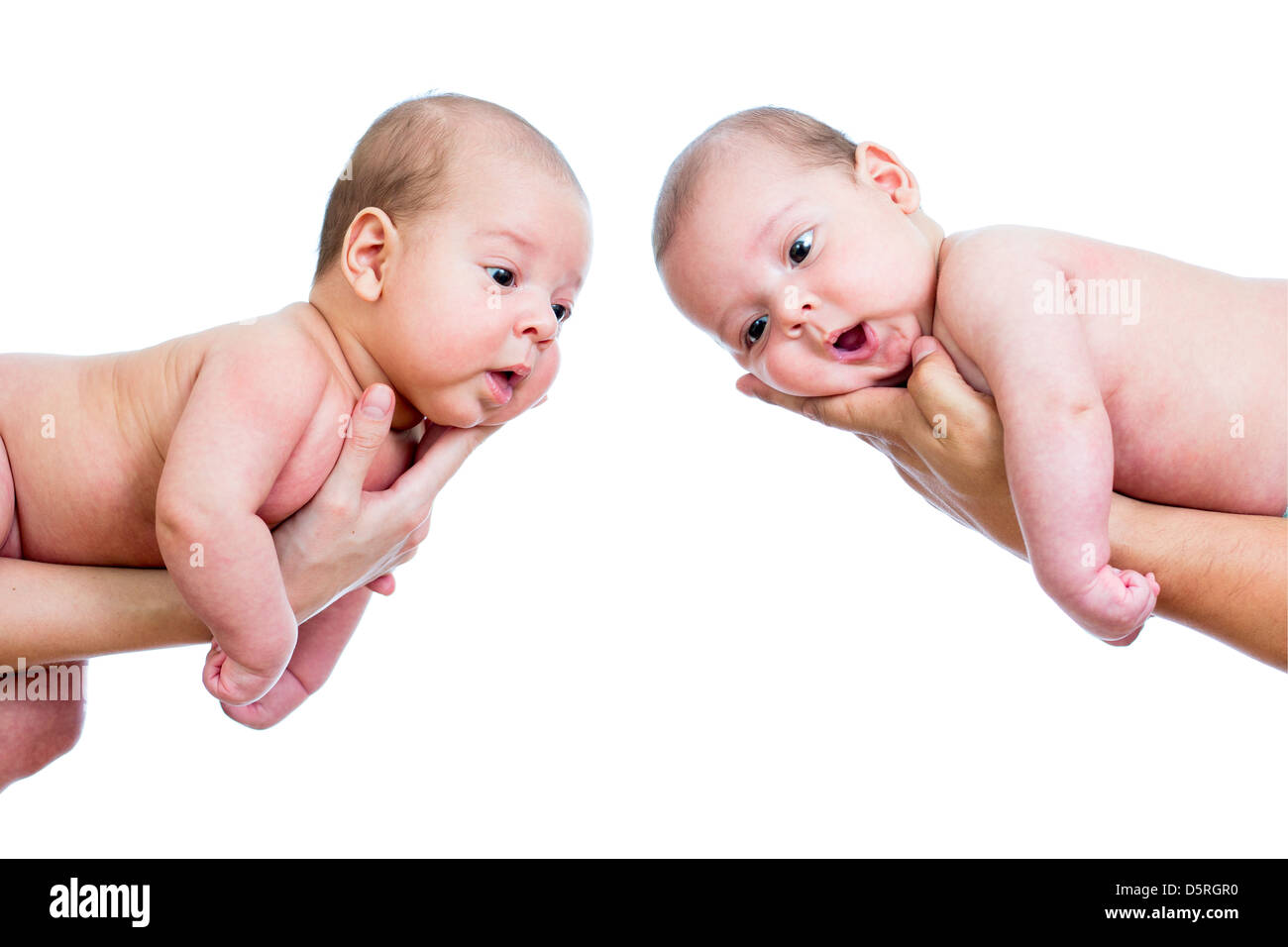 small babies twins on parental hands isolated on white background Stock Photo