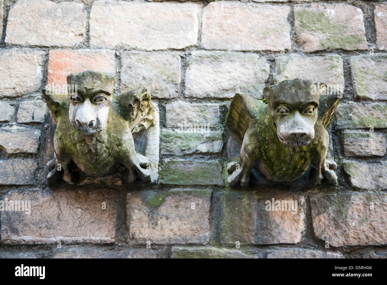 Two old church gargoyle covered in moss Stock Photo Alamy