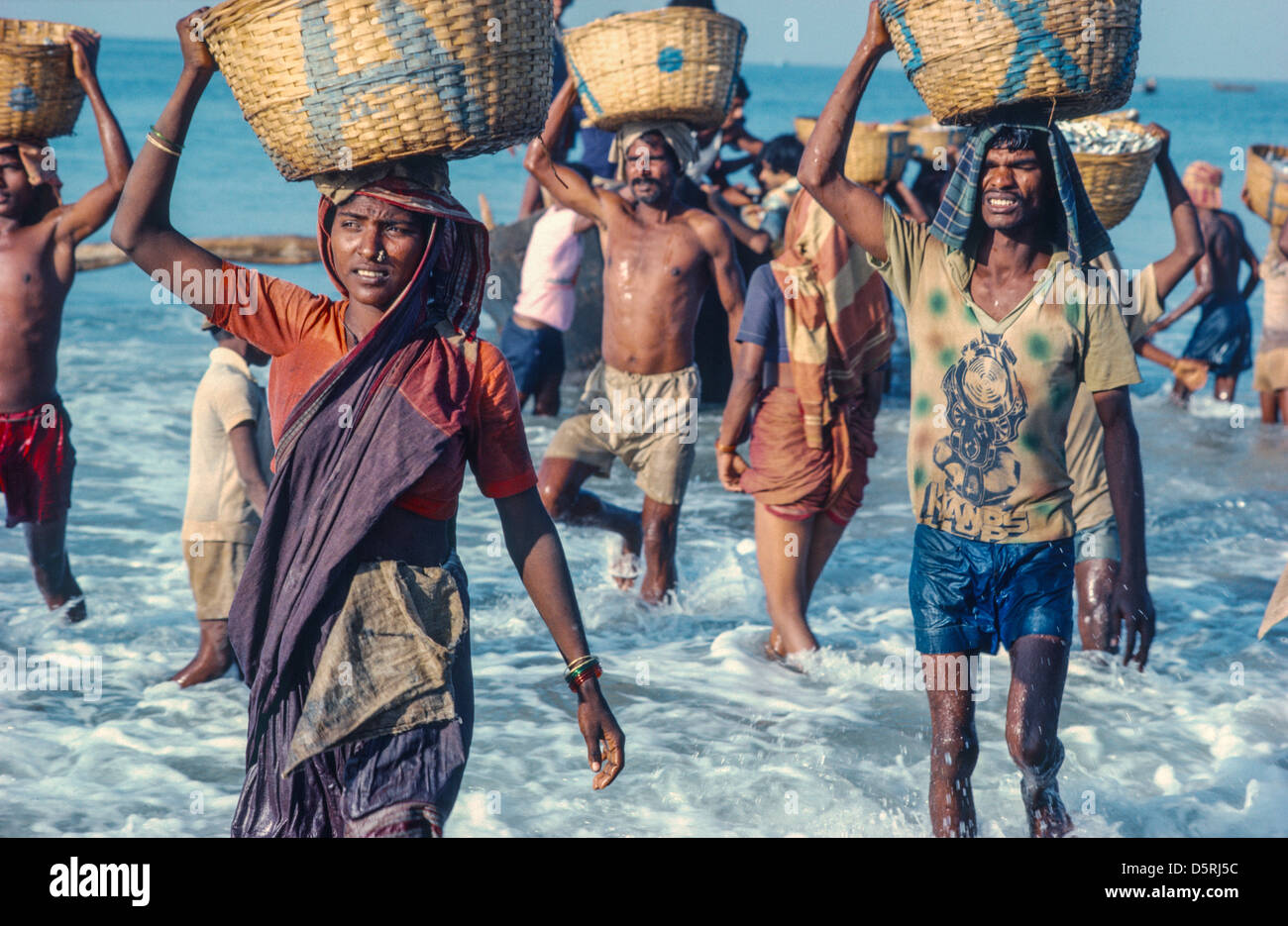 Male and female porters carrying fish ashore in baskets on their heads