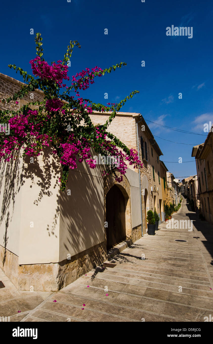 Street scene in alcudia hi-res stock photography and images - Alamy