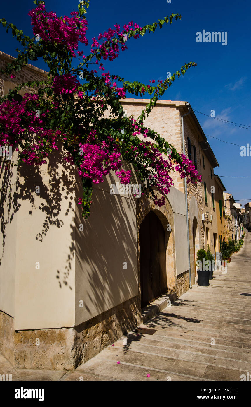 Street scene in alcudia hi-res stock photography and images - Alamy