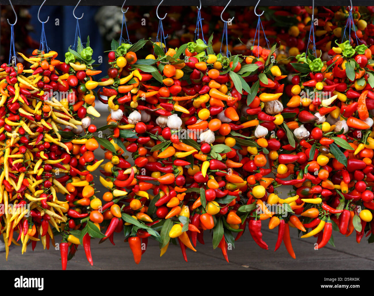 Bunches of various colorful peppers at the market Stock Photo - Alamy