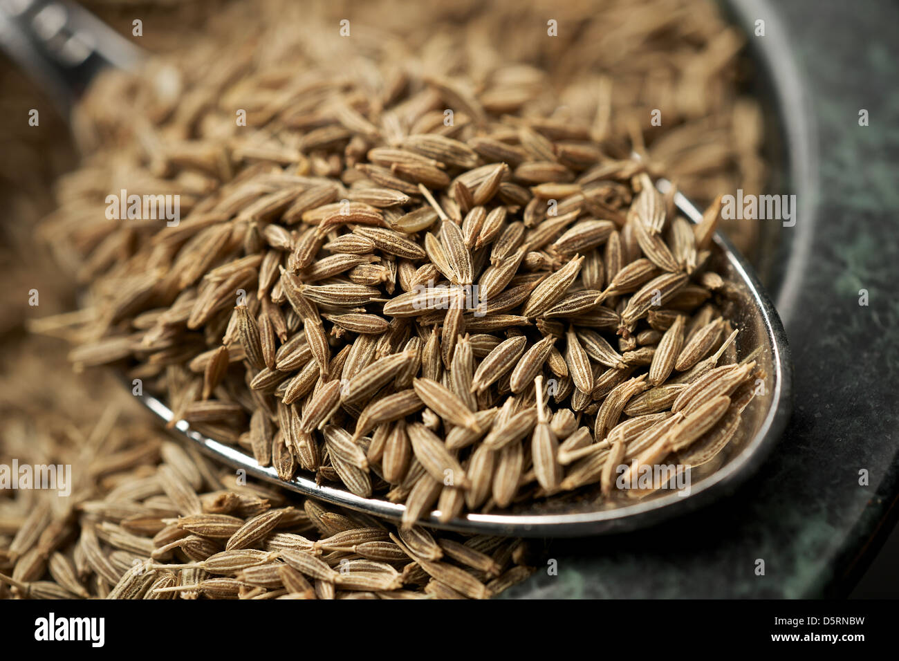 Fennel seeds plant hires stock photography and images Alamy