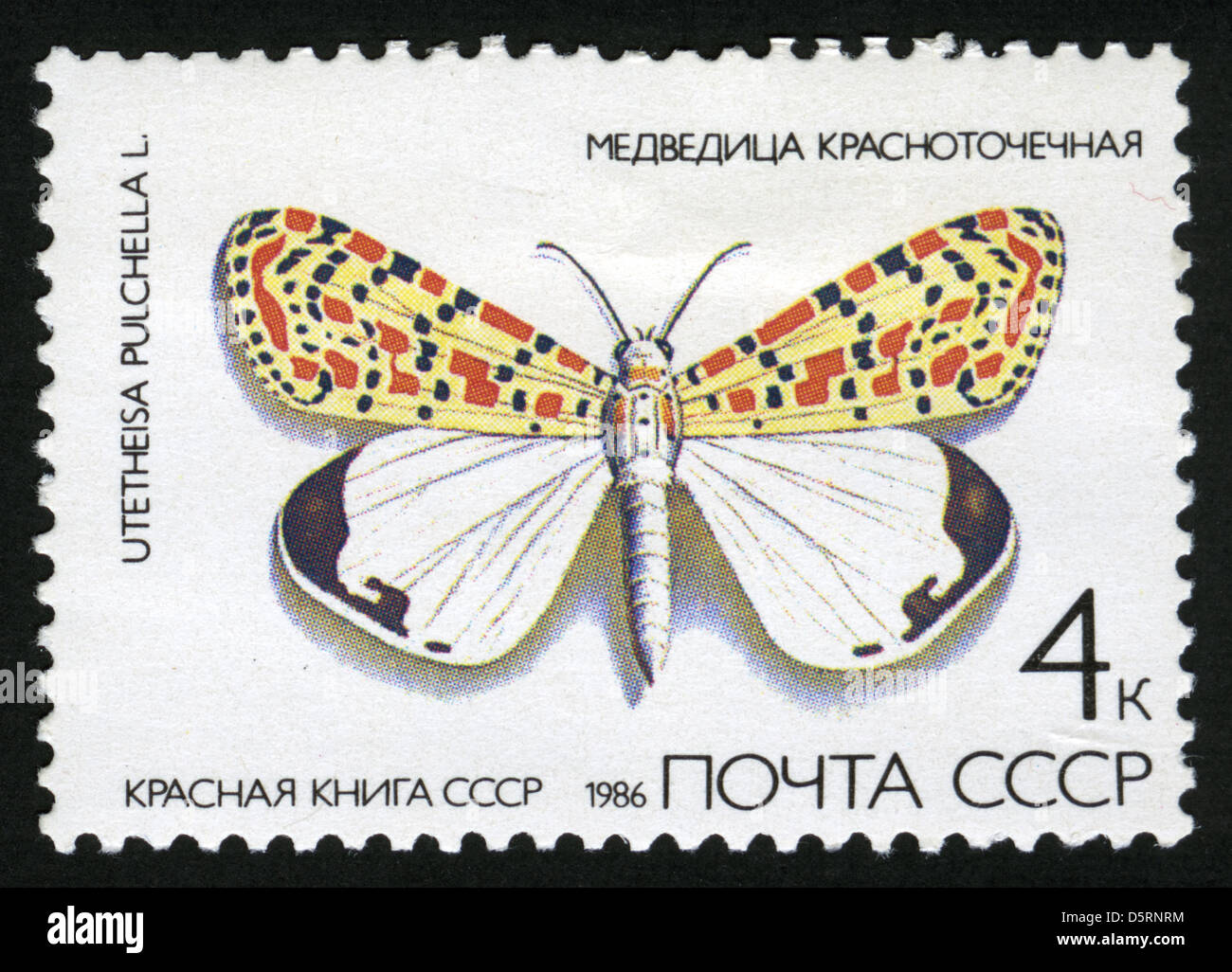 Купить Красная Книга Ссср