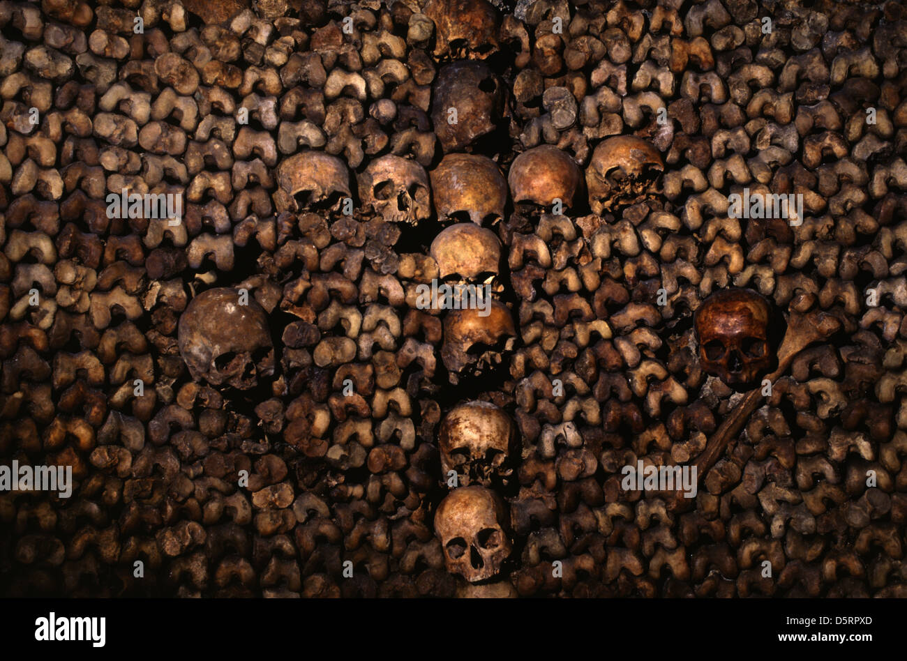 Wall made of skulls at the Catacombs of Paris an underground ossuaries which hold the remains of slightly less than 2 million people in a small part of a tunnel network built to consolidate Paris' ancient stone mines Extending south from the Barrière d'Enfer ("Gate of Hell") former city gate in Paris France Stock Photo