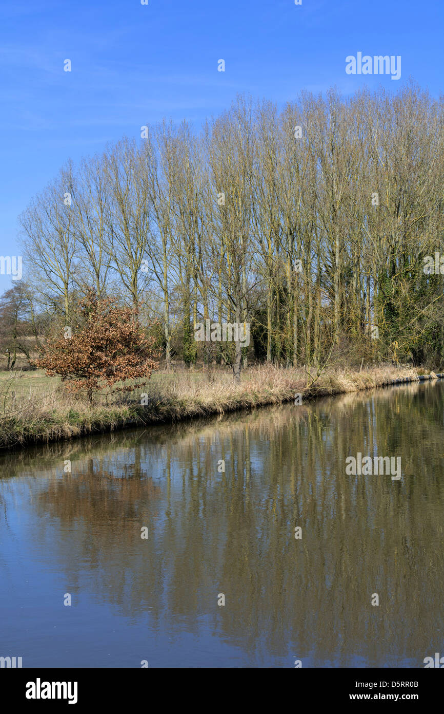 The banks of a river, with bushes and trees Stock Photo - Alamy