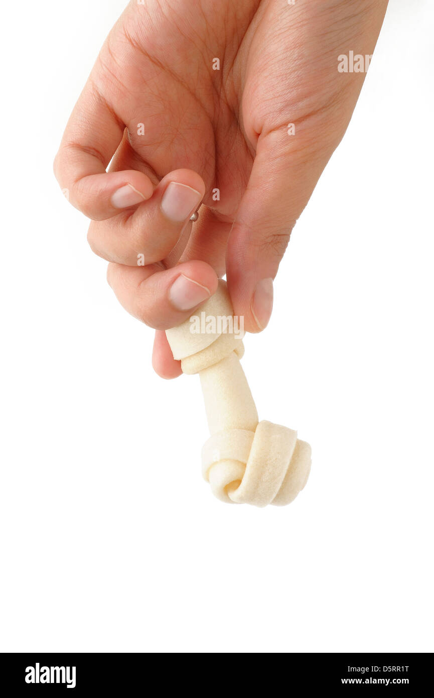 Artificial bones for dogs online