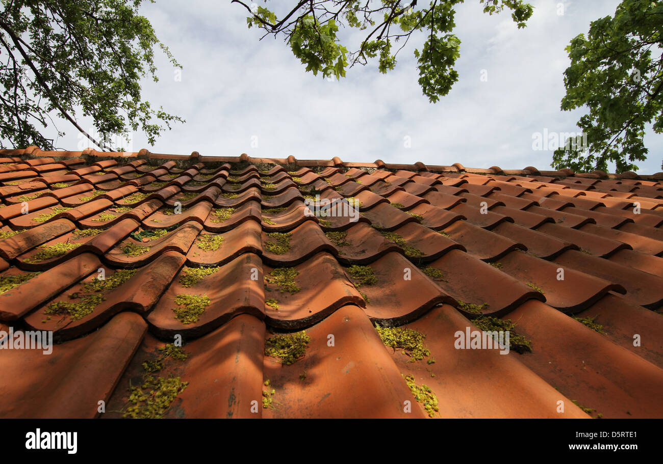 Coloured Roof Tiles Stock Photos Coloured Roof Tiles 