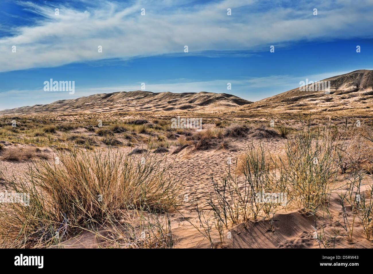 Kelso sand dunes in Mojave National monument with a beautiful dramatic sky in the back ground and grasses in the foreground Stock Photo