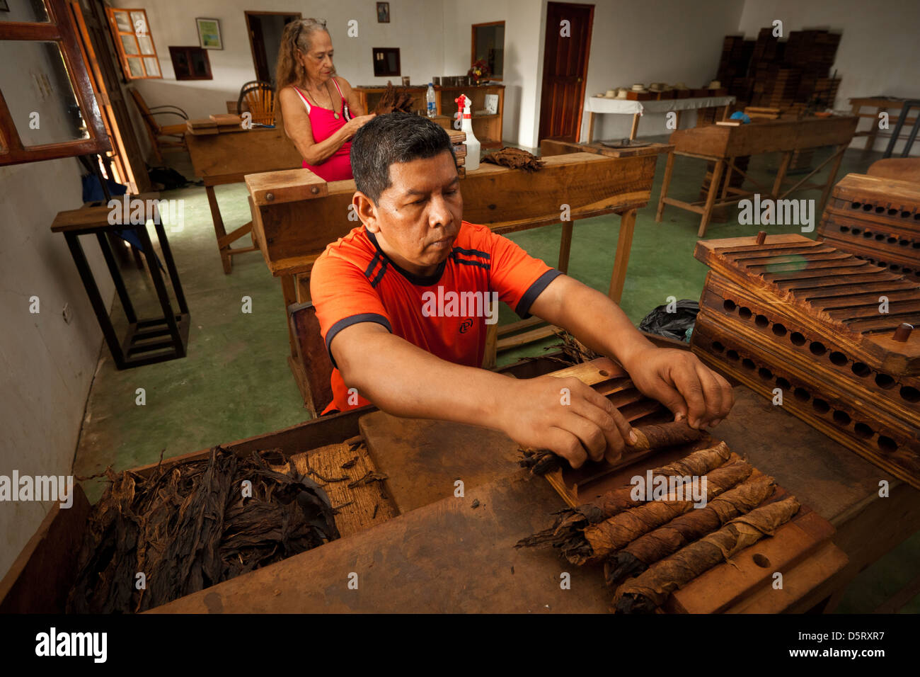 Cigars in the making at Joyas de Panama cigar factory, La Pintada village, Cocle province, Republic of Panama, Central America. Stock Photo