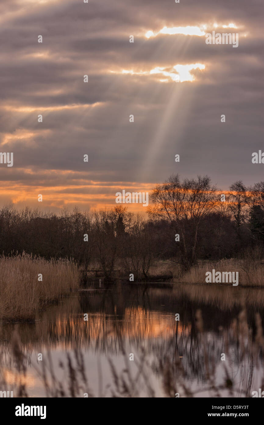 Winter Sunset over Ham Wall reed beds Stock Photo