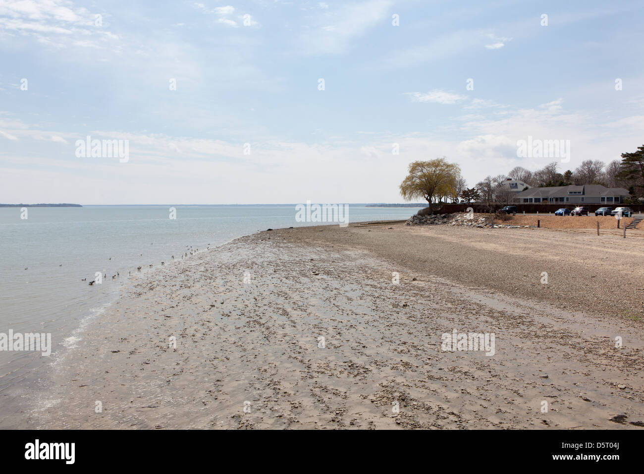 Duxbury Beach, Massachusetts, USA Stock Photo Alamy