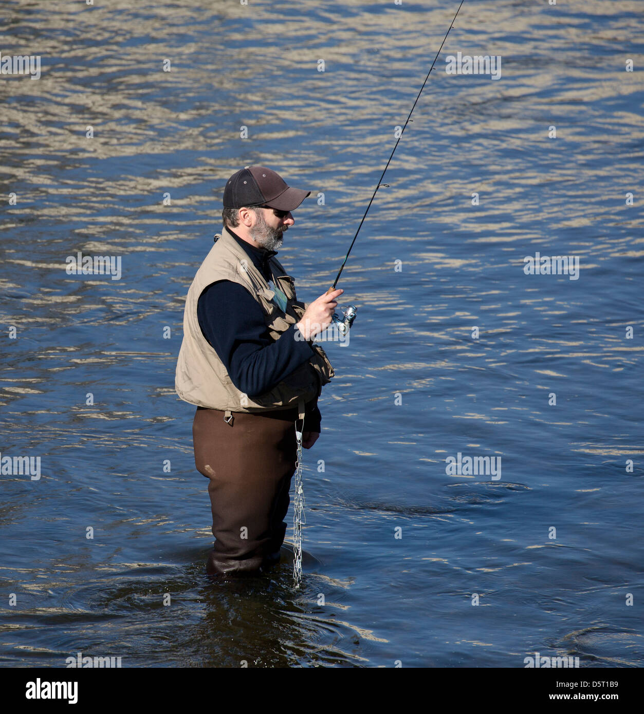Fisherman wading standing in a river fishing for trout Stock Photo Alamy