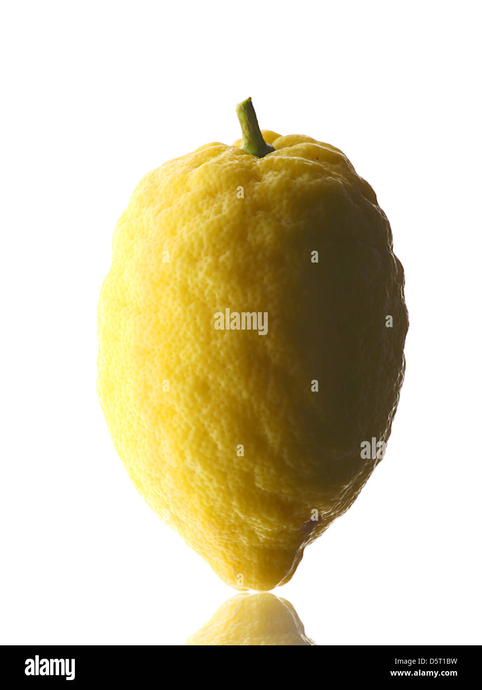 Ripe lemons. Isolated on white background Stock Photo - Alamy