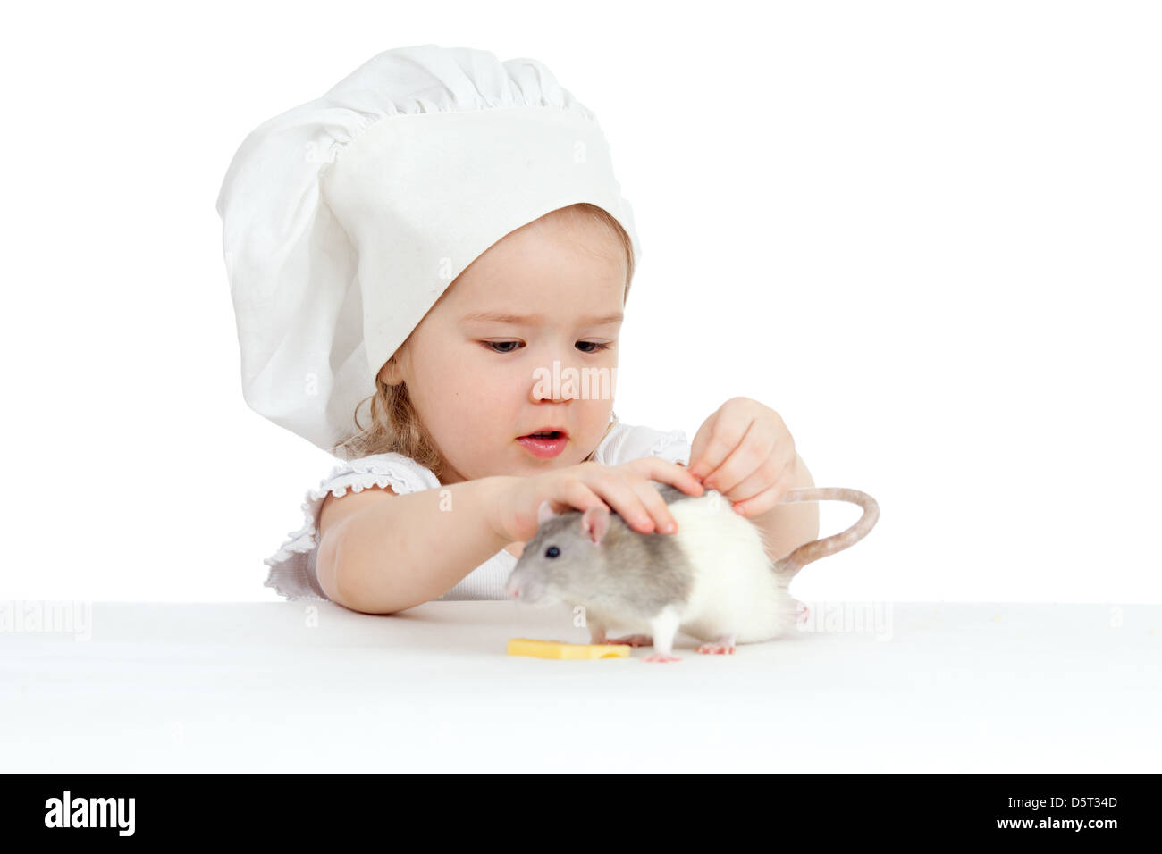 Chef girland domestic rat eating healthy food together. Isolated on white Stock Photo
