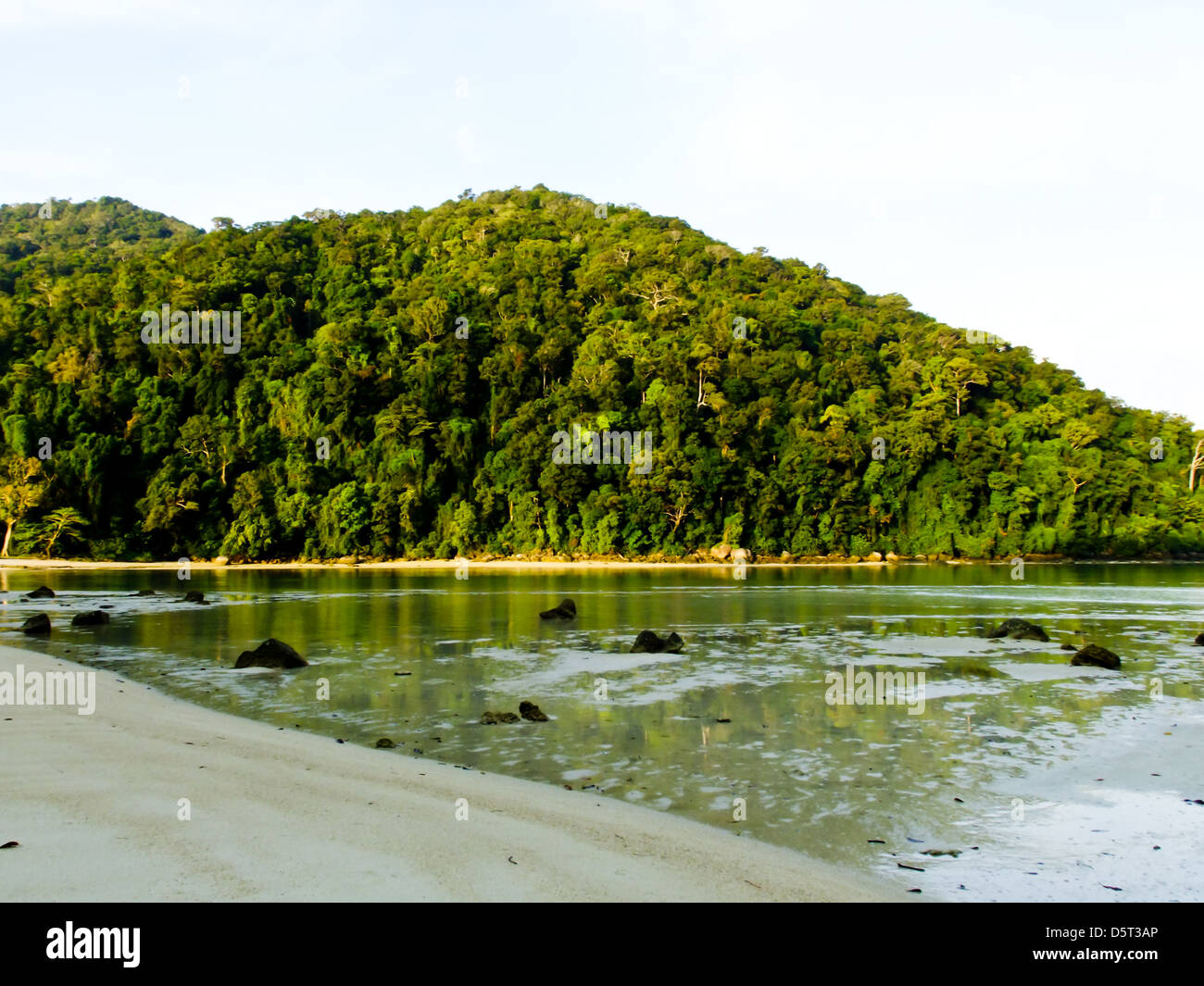 beautiful tropical beach when ebb tide and forest in Andaman sea, Phangnga, Thailand Stock Photo